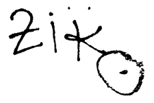 Ziko Tag